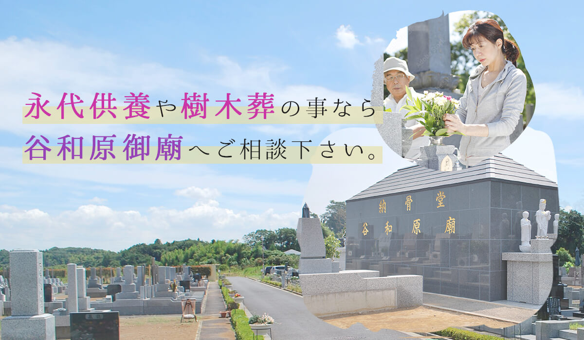 永代供養や納骨堂の事なら三福寺にご相談下さい。